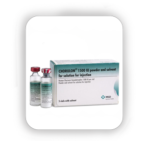 Chorulon Hormone ( LH )