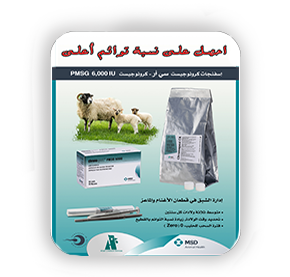 Chronogest Vaginal sponge + PMSG Hormone