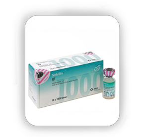  Nobilis ILT